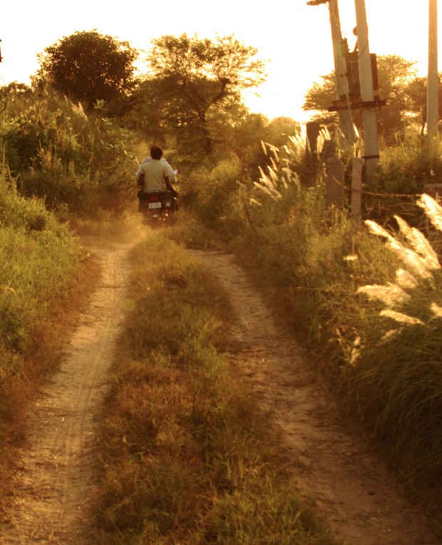 Two men ride a bike at breakneck speed through the farms in Rajasthan
